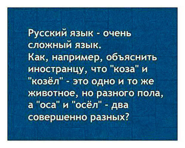 Русский язык: взрыв мозга для иностранцев + 44 страшилки русской грамматики иностранец, обучение, русский язык