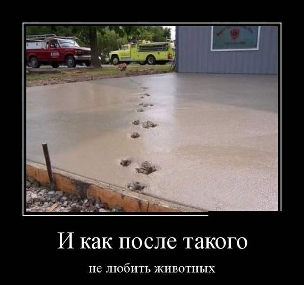 Демотиваторы дня от 01-09-2014