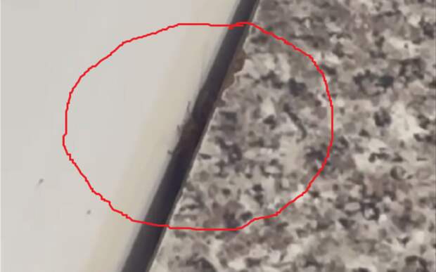 Прокуратура возбудила дело против директора Дядьковской школы за тараканов