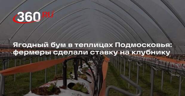 В Подмосковье расширили плантации клубники