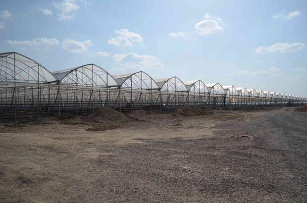 тепличный комплекс в процессе строительства