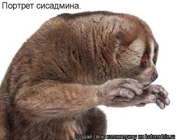 Портрет сисадмина.