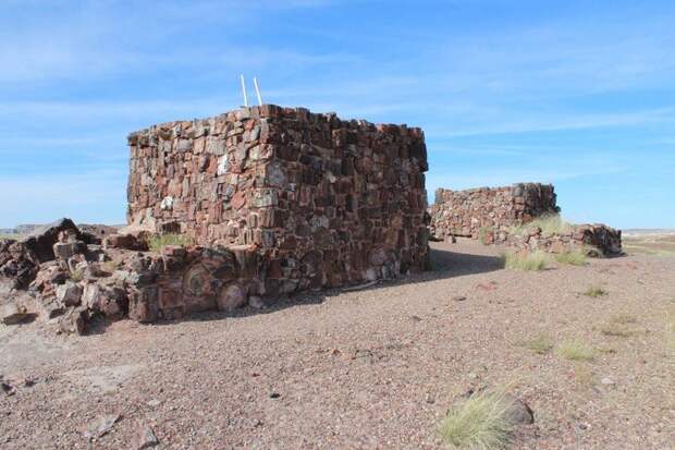 Тысячелетний дом Petrified Forest, Тысячелетний, дом