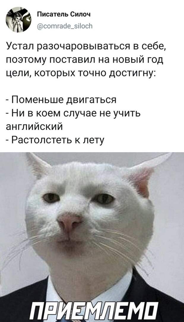 Смешные фото 5 января 2021