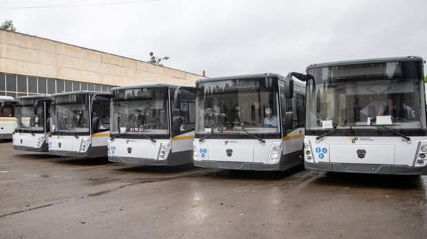 На маршруты в Подмосковье выйдет 40 новых автобусов