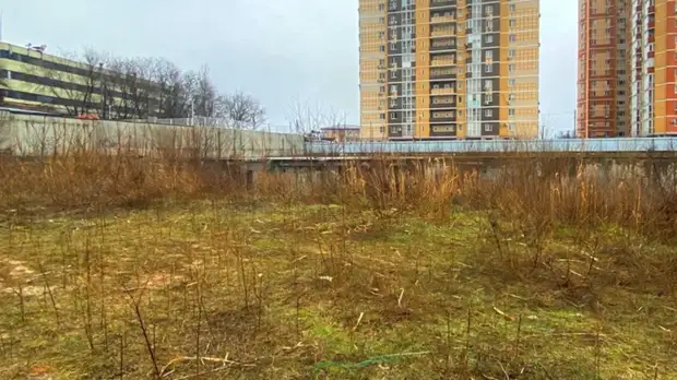 Компания с одним сотрудником собралась строить элитную высотку с бассейном в Ростове