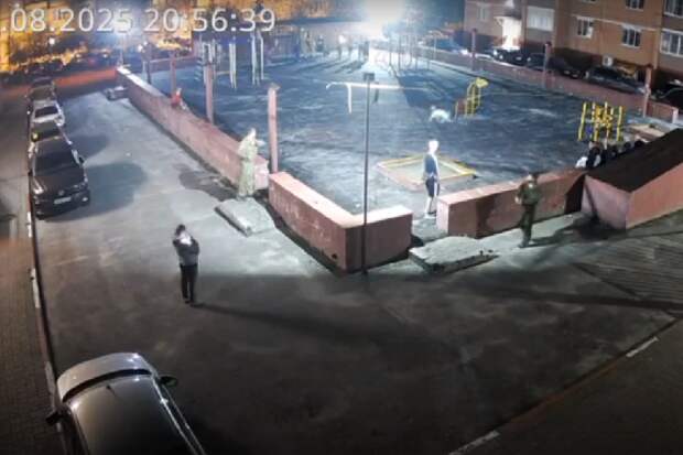 Полиция проверяет инцидент с отстрелом собаки и избиением подростка в Тамбове