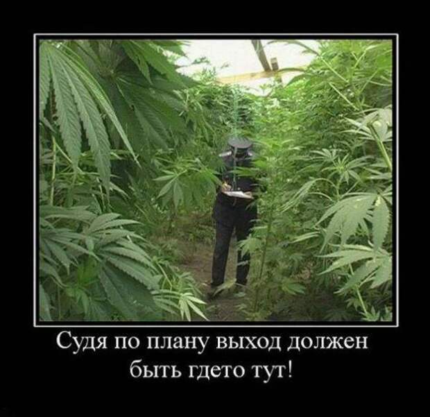 Свежая подборка демотиваторов