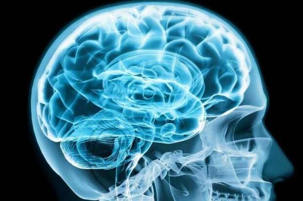 Исследование: влияние сна на формирование памяти в мозге
