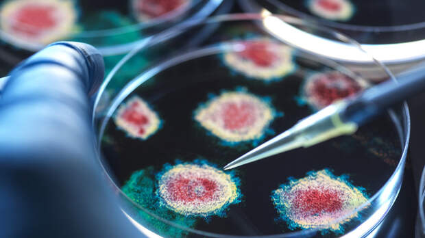 Инфекционист Неронов: пик ОРВИ в Москве ожидается в марте