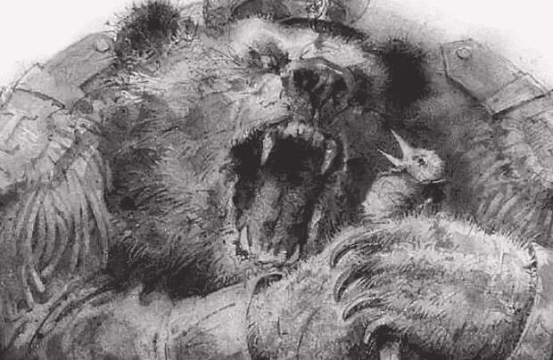 Трамп на воеводстве