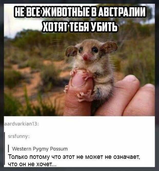 Подборка картинок. Дневной выпуск (50 фото)