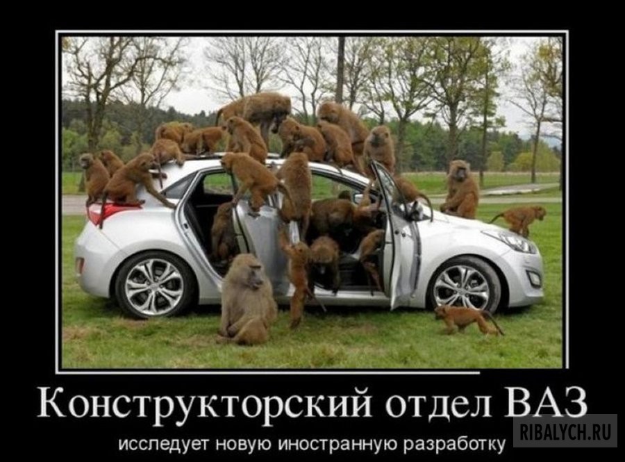 автоприколы