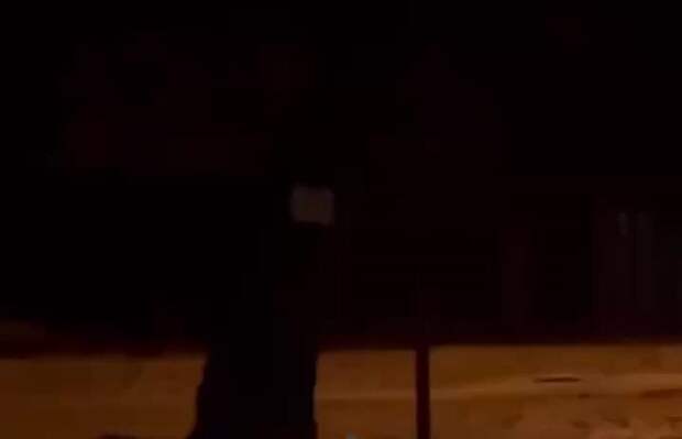 Лисы на Красном Пахаре https://t.me/webmoney_dn/311730Video: Видео от Донецкая группа новостей|Донецк.ДНР