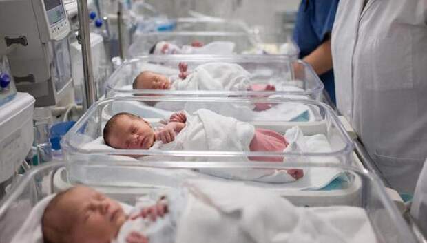 В Дагестане похищено более 275 млн рублей из нацпроекта «Демография» через схему с маткапиталом