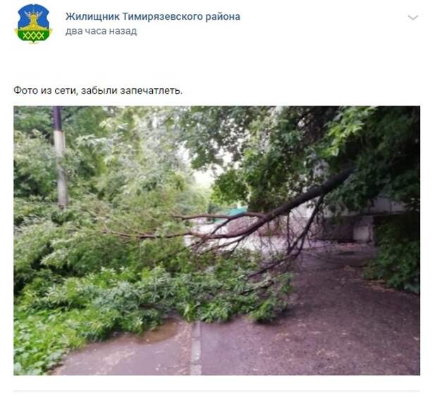 На Астрадамской улице оперативно устранили последствия штормового ветра