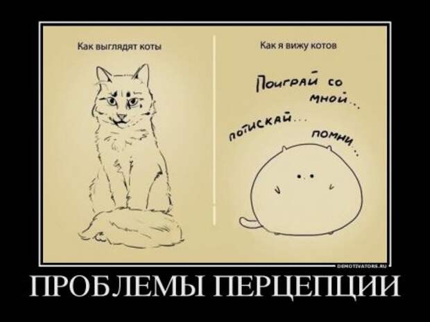 Новые демотиваторы, смешные фразы в картинках.