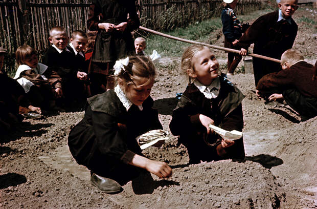 Нижне Чемская школа. Юннаты