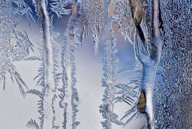 winterbeauty65