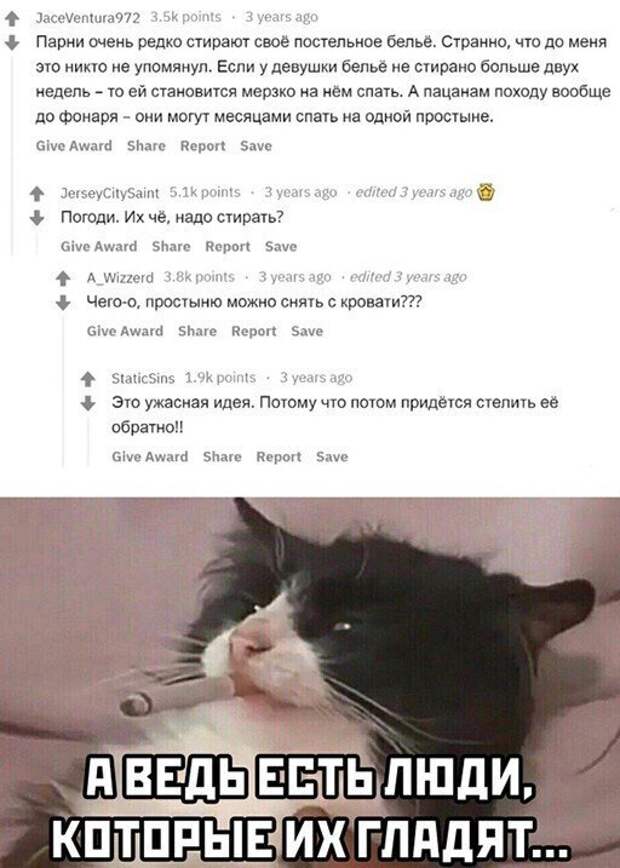Смешные и познавательные картинки