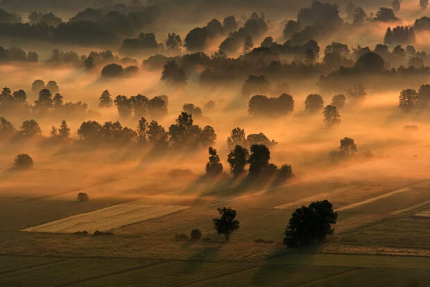 3611 100 изумительных фотографий тумана (часть 2)
