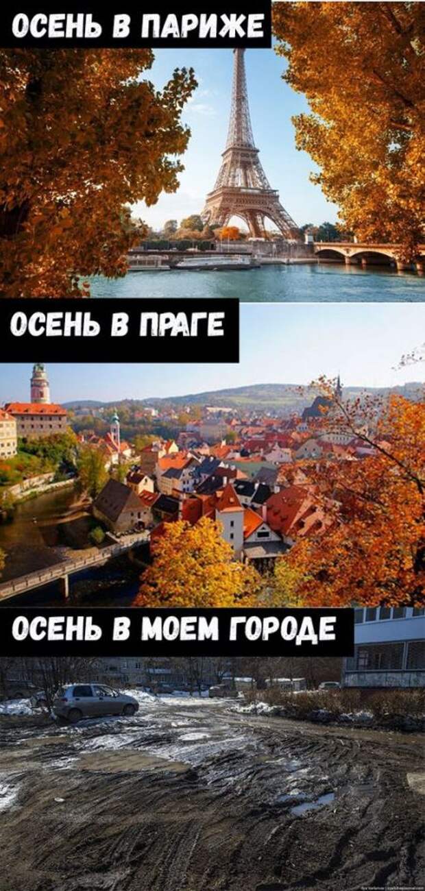 Новая подборка прикольных картинок  (50 фото)