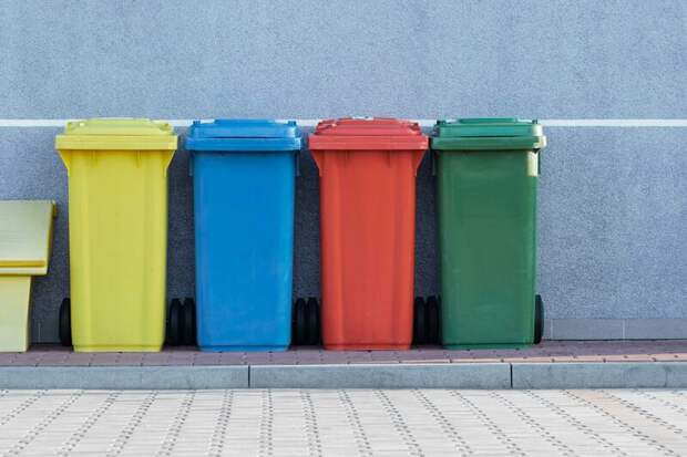 Система раздельного сбора мусора будет запущена в Калининградской области к 2027 году