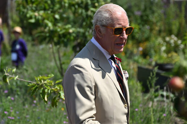 Карл III рассказал об отрезанных во время занятий садоводством кусочках пальцев
