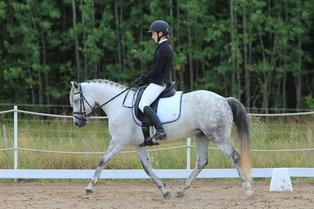 Дочь Семака получила нейтральный статус в конном спорте