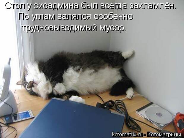 Стол у сисадмина был всегда захламлён. По углам валялся особенно  труд