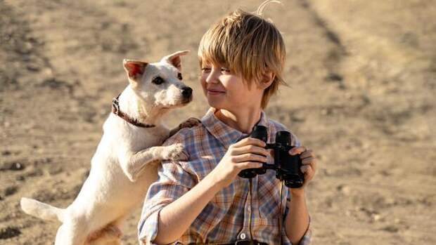«Моя собака — космонавт»: фильм про знаменитую Белку и ее 10-летнего хозяина выйдет в апреле