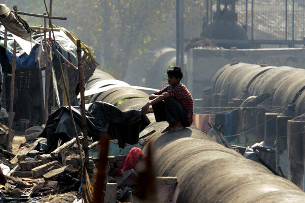 Российский телеведущий пожаловался на испражняющихся на улицах одной страны людей