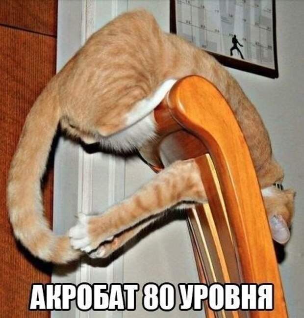 Прикольных картинок много не бывает (33 шт)