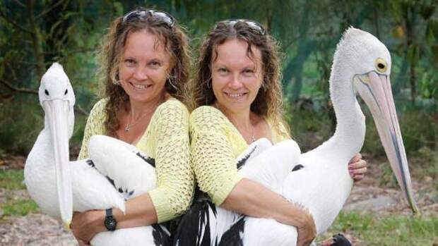 Удивительные австралийские близняшки говорят в унисон
