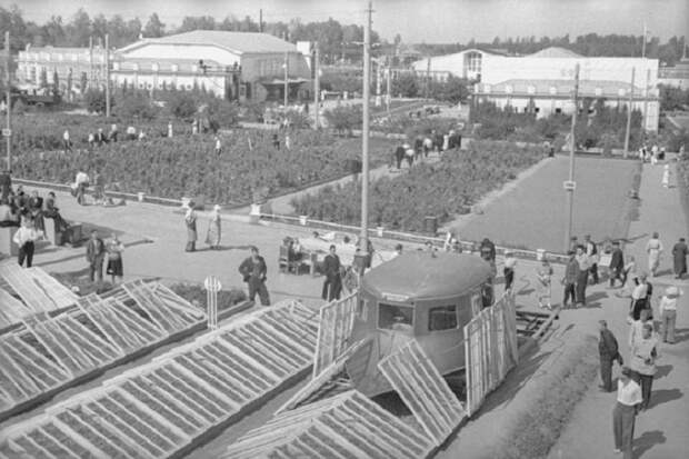 Парниковый комбайн.