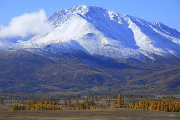 "Вас размотают, как Долину": Пользователи обрушились на Rendez-Vous после скандала с вечеринкой в Куршевеле
