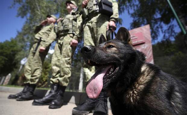 На фото: сотрудники погранслужбы с собакой на пограничной заставе