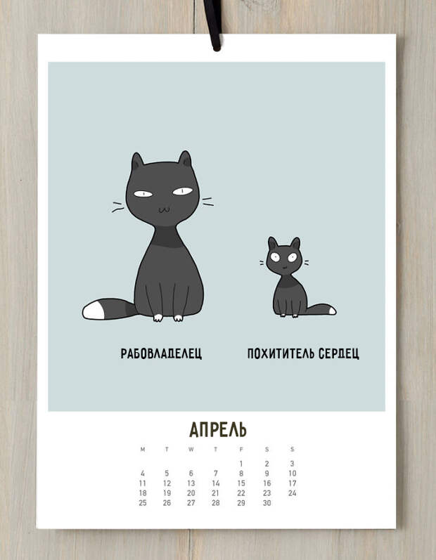 кошачий календарь 2016 