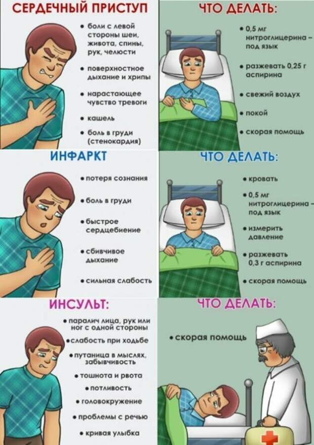Важно знать! Важно знать! измерения, интересное, мерки, подсказки, тело, факт, человек, шпаргалки