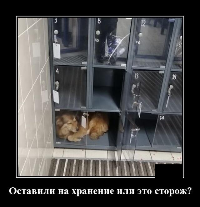 Демотиваторы (20 фото)