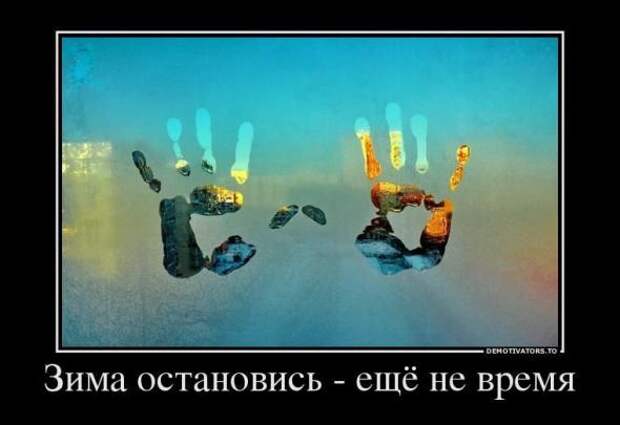 Немного новых демотиваторов
