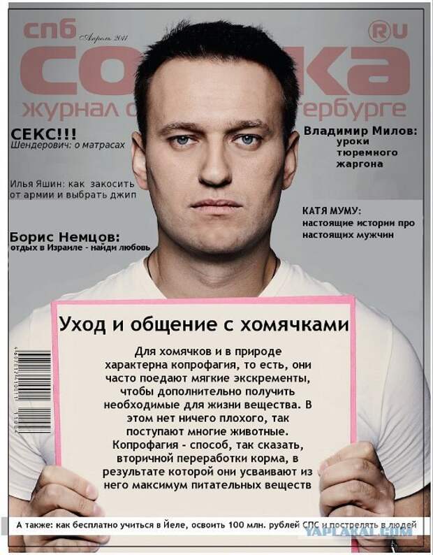 Что хорошего сделал навальный для россии. Навальный. Кто такой Навальный. Кратко о Навальном.