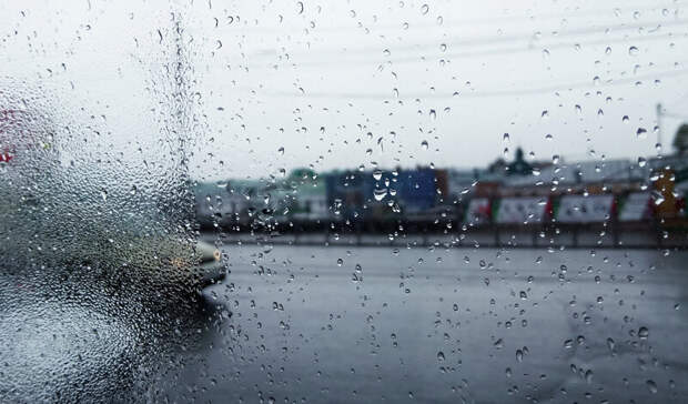 В Белгородскую область вернутся дожди и грозы