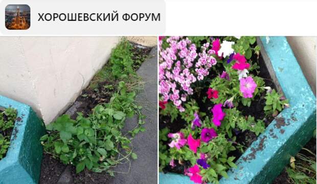 Жители улицы Полины Осипенко пожаловались на «закладчиков»