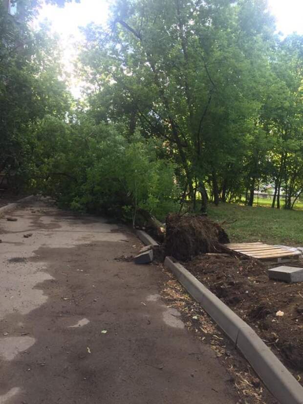 Фото предоставлено управой района