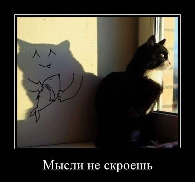 Прикольные демотиваторы