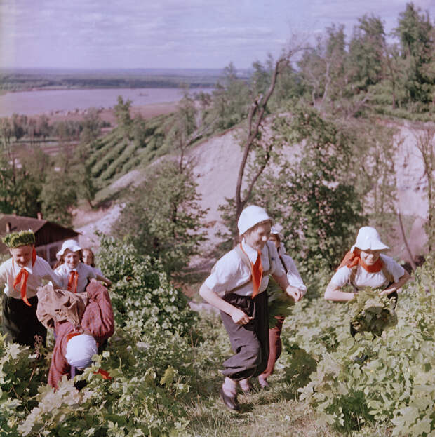 Школьники туристы