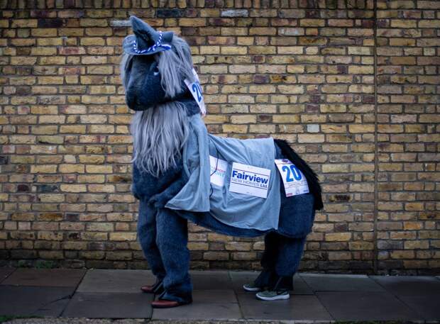 Веселая гонка лошадей London Pantomime Horse Race 2018