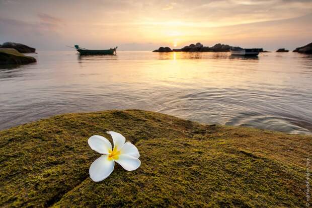 Нестандартный Таиланд: Ко Тао KoTao21 Нестандартный Таиланд: Ко Тао