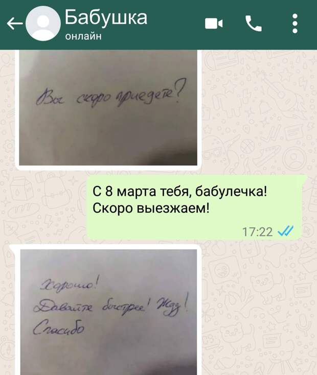 Дюжина переписок в мессенджерах от людей с чувством юмора